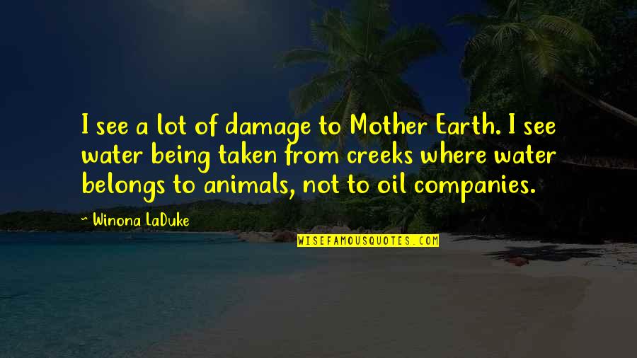 Not Taken Quotes By Winona LaDuke: I see a lot of damage to Mother