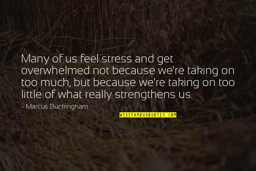 Not Taking On Too Much Quotes By Marcus Buckingham: Many of us feel stress and get overwhelmed