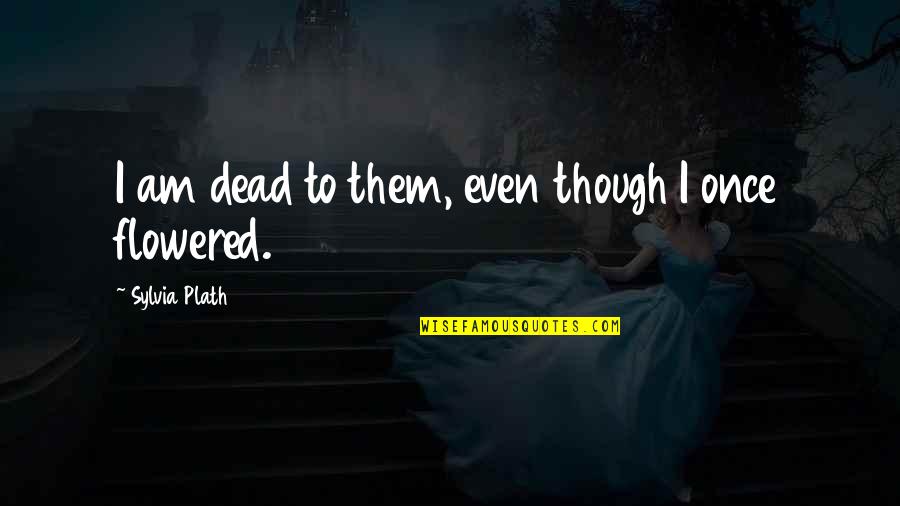 Not Telling Someone You Like Them Quotes By Sylvia Plath: I am dead to them, even though I