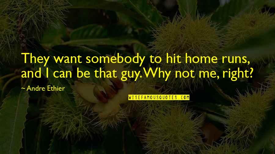 Not The Right Guy Quotes By Andre Ethier: They want somebody to hit home runs, and Not The Right Guy Quotes By Andre Ethier: They want somebody to hit home runs, and