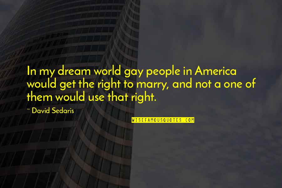 Not The Right One Quotes By David Sedaris: In my dream world gay people in America