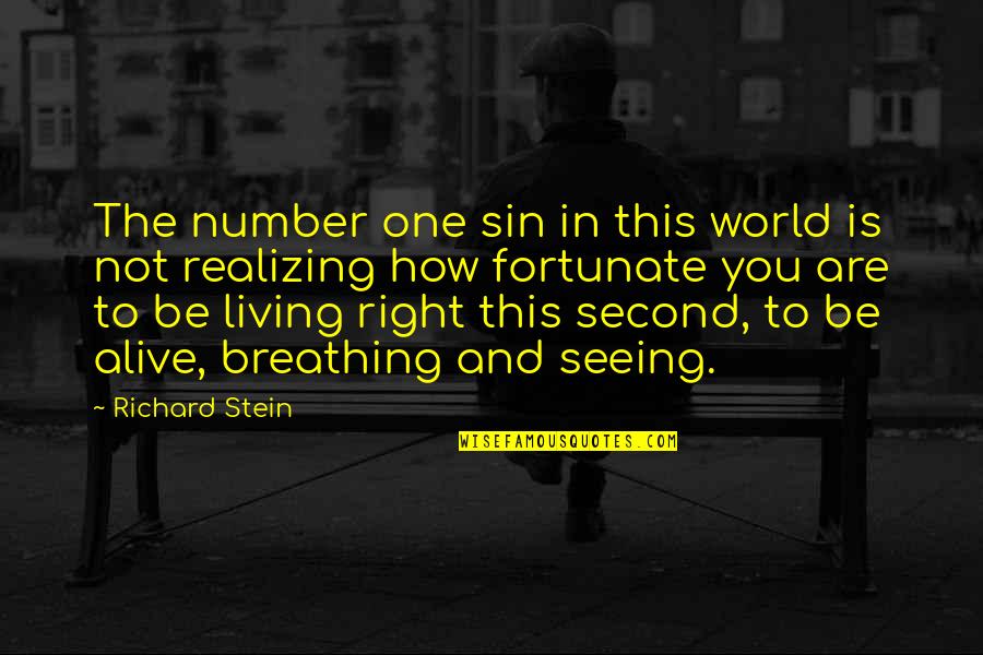Not The Right One Quotes By Richard Stein: The number one sin in this world is