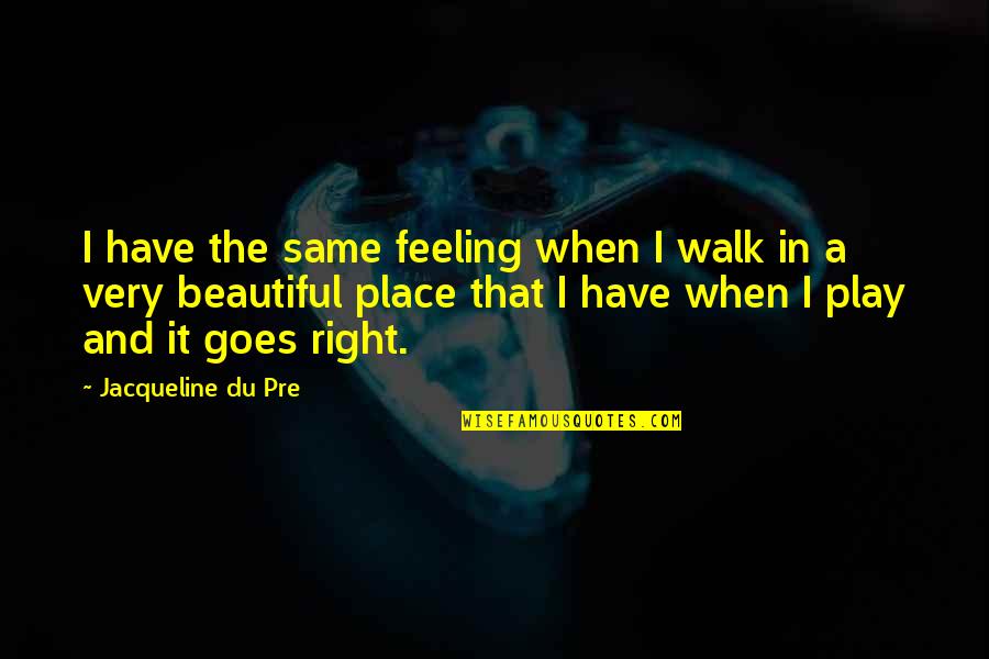 Not The Same Feeling Quotes By Jacqueline Du Pre: I have the same feeling when I walk