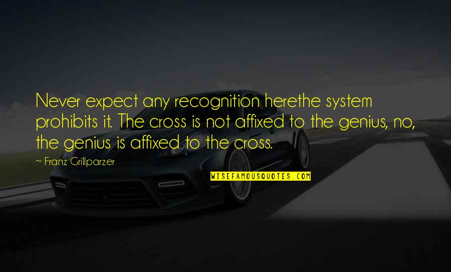 Not To Expect Quotes By Franz Grillparzer: Never expect any recognition herethe system prohibits it.