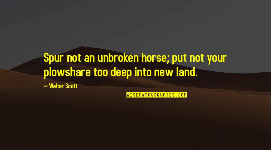 Not Too Deep Quotes By Walter Scott: Spur not an unbroken horse; put not your