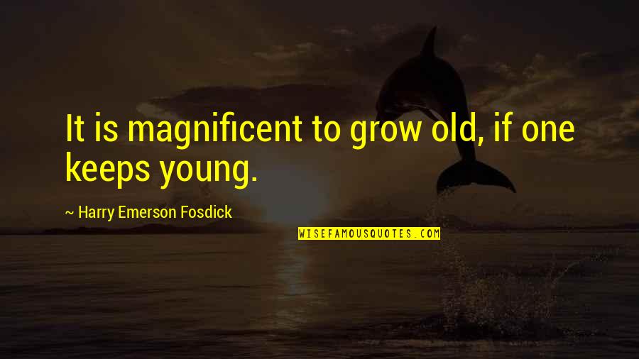 Not Too Young Not Too Old Quotes By Harry Emerson Fosdick: It is magnificent to grow old, if one