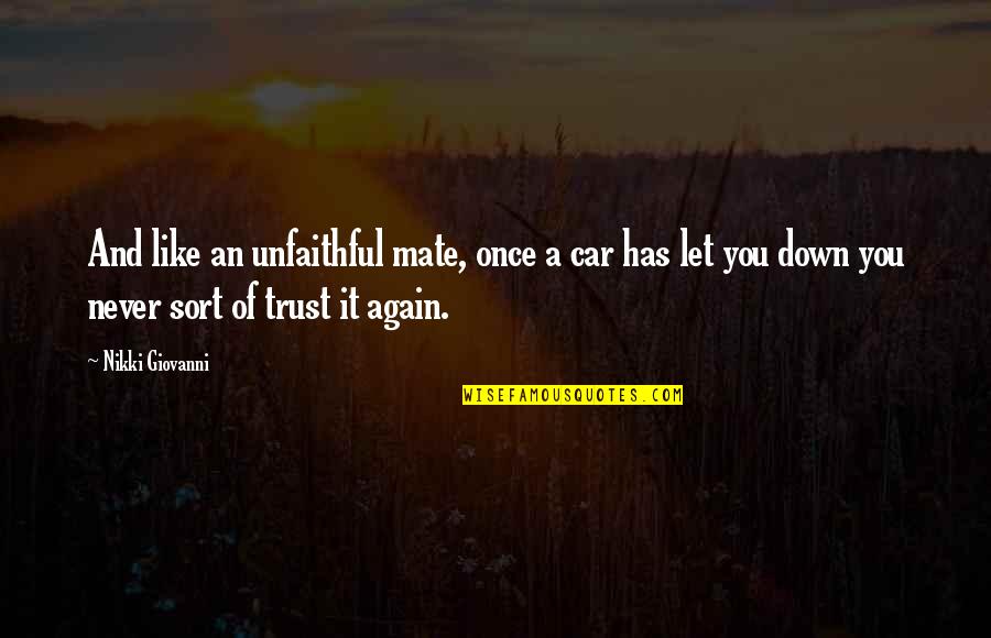 Not Trust Again Quotes By Nikki Giovanni: And like an unfaithful mate, once a car
