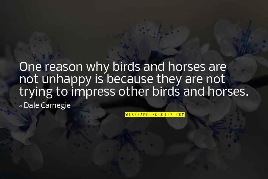 Not Trying To Impress Quotes By Dale Carnegie: One reason why birds and horses are not