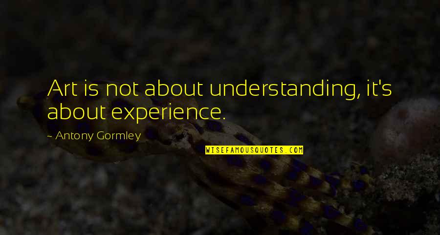 Not Understanding Art Quotes By Antony Gormley: Art is not about understanding, it's about experience.