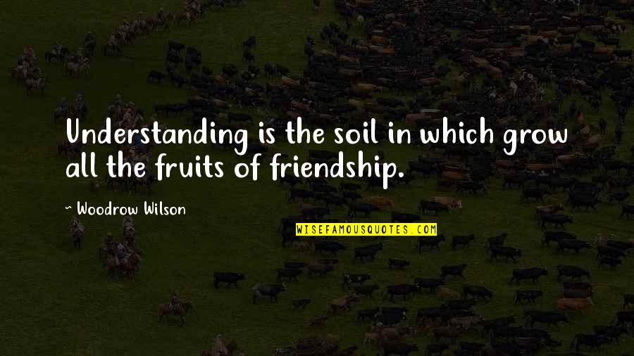 Not Understanding Friendship Quotes By Woodrow Wilson: Understanding is the soil in which grow all