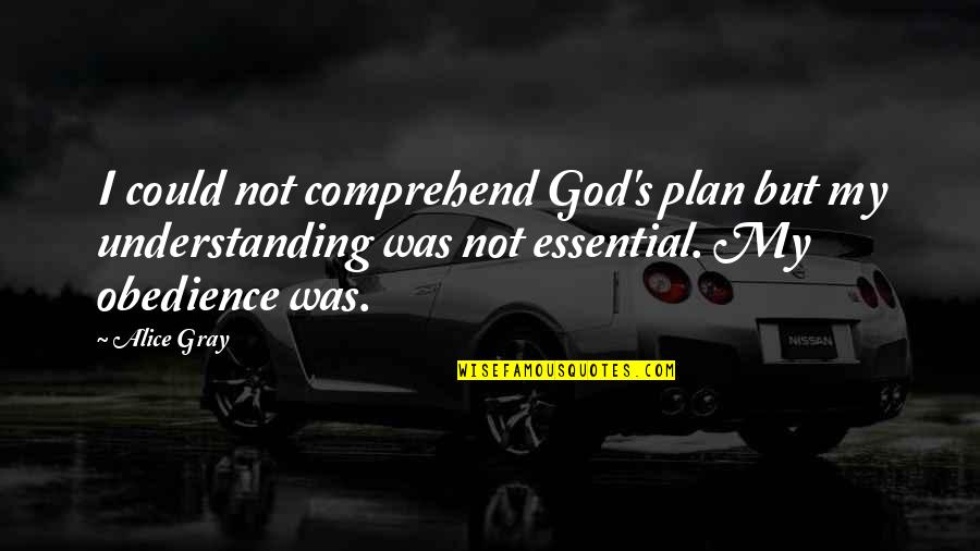 Not Understanding God's Plan Quotes By Alice Gray: I could not comprehend God's plan but my