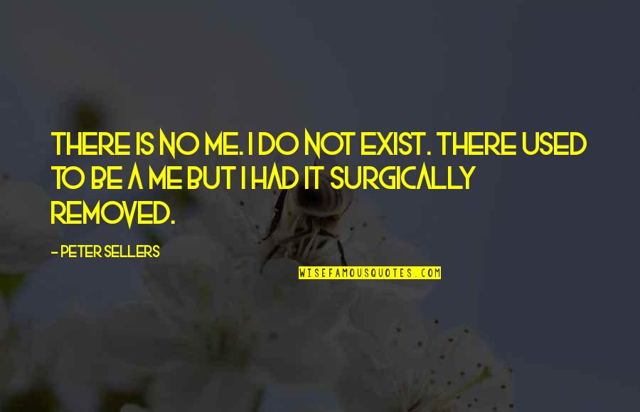 Not Used To Quotes By Peter Sellers: There is no me. I do not exist.