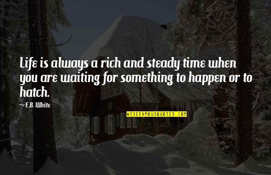 Not Waiting For Life To Happen Quotes By E.B. White: Life is always a rich and steady time
