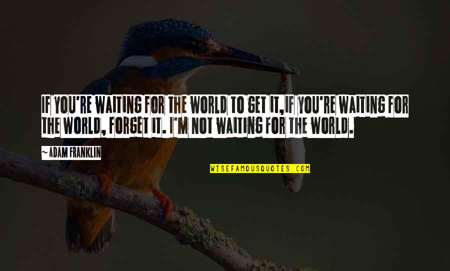 Not Waiting For You Quotes By Adam Franklin: If you're waiting for the world to get