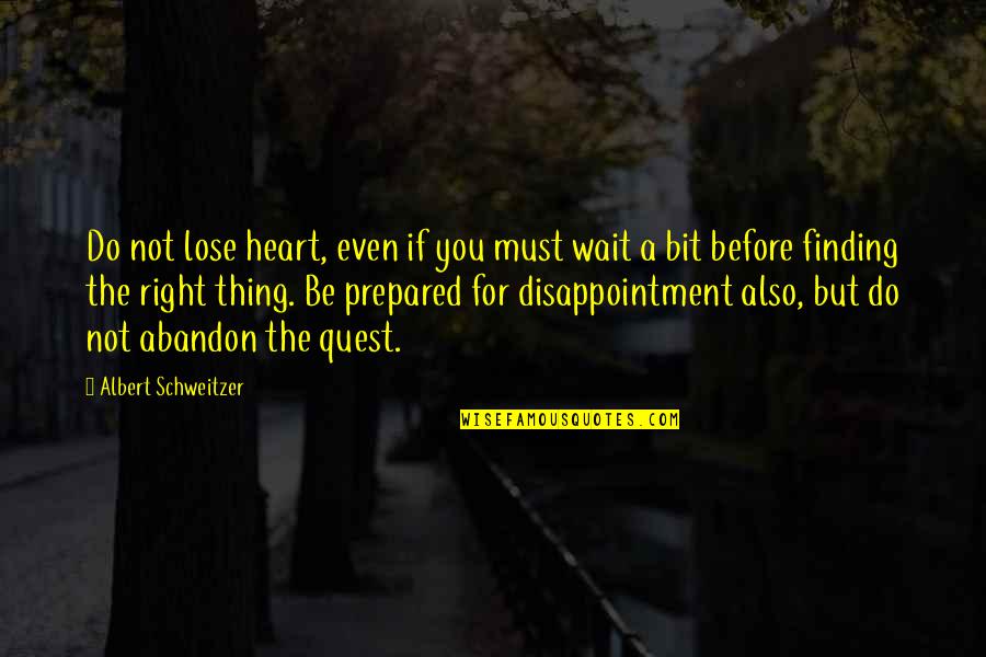 Not Waiting For You Quotes By Albert Schweitzer: Do not lose heart, even if you must