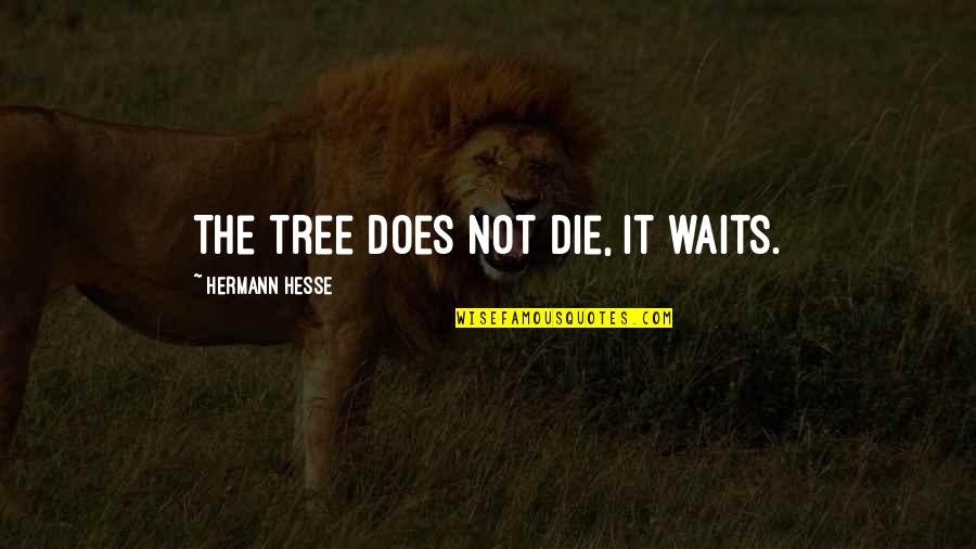 Not Waiting Quotes By Hermann Hesse: The tree does not die, it waits.