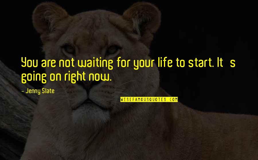 Not Waiting Quotes By Jenny Slate: You are not waiting for your life to