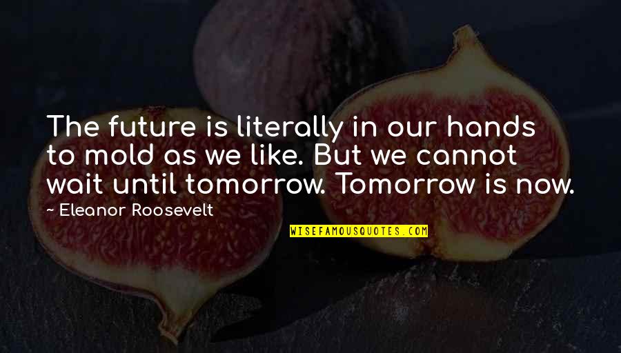 Not Waiting Until Tomorrow Quotes By Eleanor Roosevelt: The future is literally in our hands to