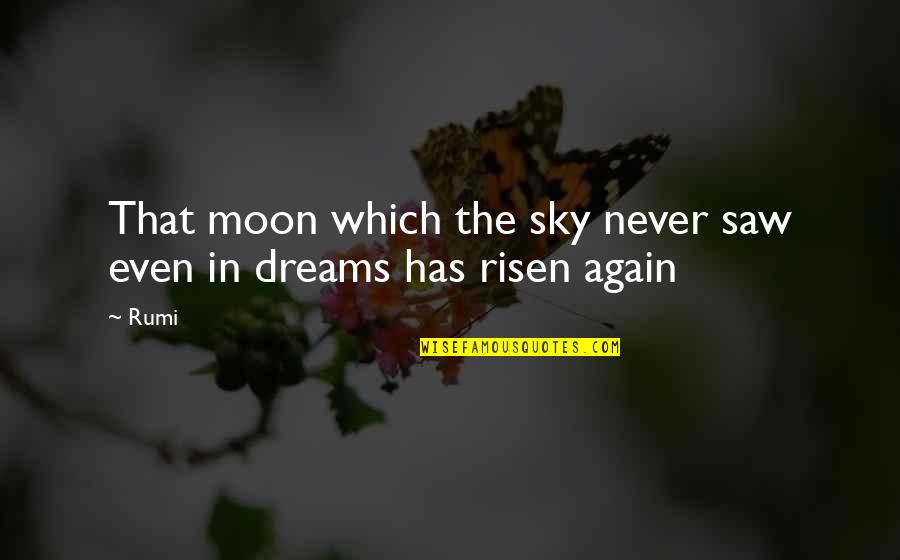 Not Wanting To Ask For Help Quotes By Rumi: That moon which the sky never saw even