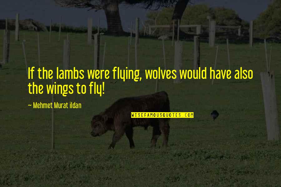 Not Wanting To Do Something Quotes By Mehmet Murat Ildan: If the lambs were flying, wolves would have