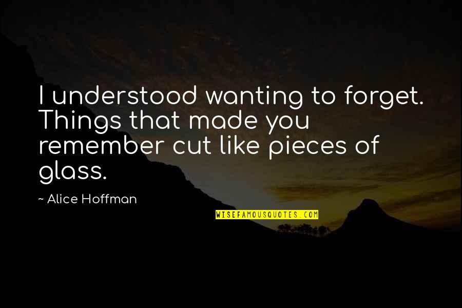 Not Wanting To Remember Quotes By Alice Hoffman: I understood wanting to forget. Things that made