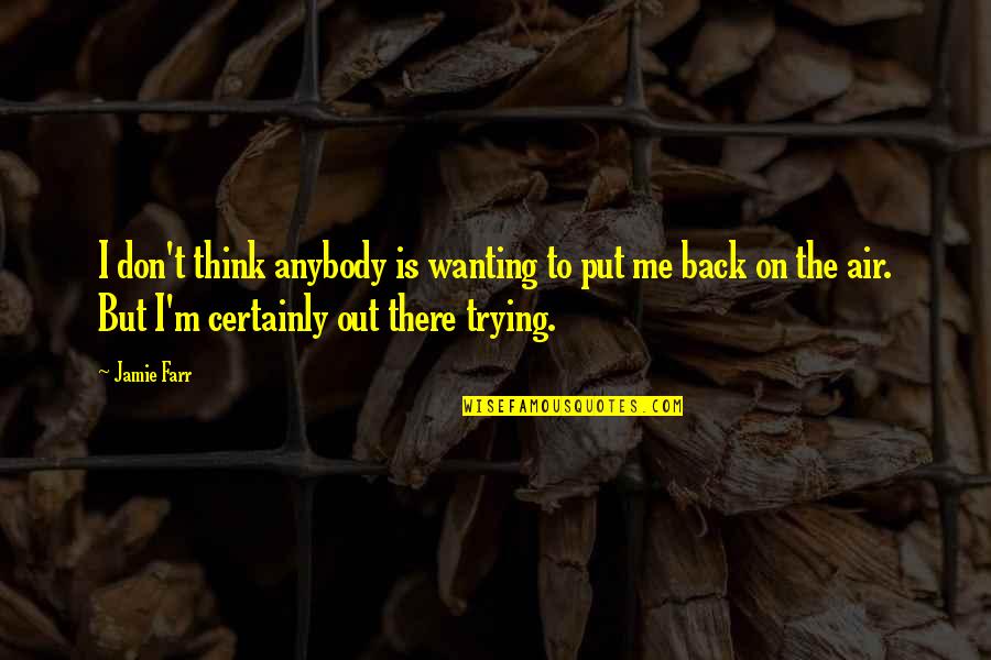 Not Wanting Your Ex Back Quotes By Jamie Farr: I don't think anybody is wanting to put