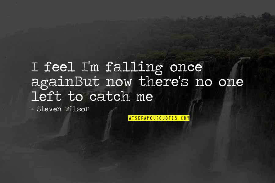 Not Well Known Movie Quotes By Steven Wilson: I feel I'm falling once againBut now there's