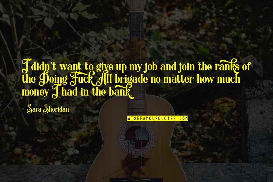 Not Working For Money Quotes By Sara Sheridan: I didn't want to give up my job