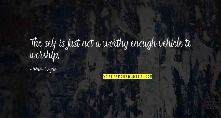 Not Worthy Quotes By Peter Coyote: The self is just not a worthy enough Not Worthy Quotes By Peter Coyote: The self is just not a worthy enough