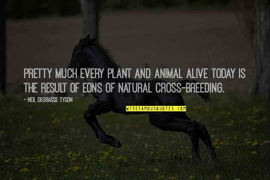 Notarealperson Quotes By Neil DeGrasse Tyson: Pretty much every plant and animal alive today