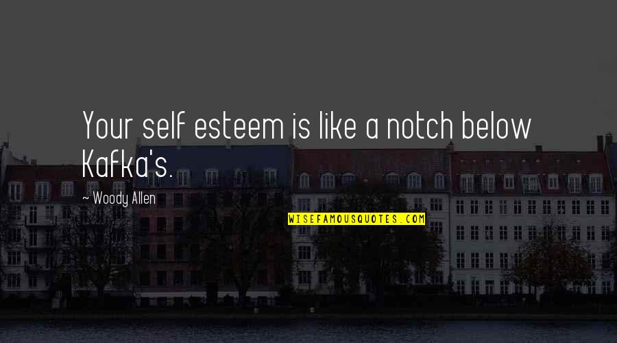 Notch Quotes By Woody Allen: Your self esteem is like a notch below