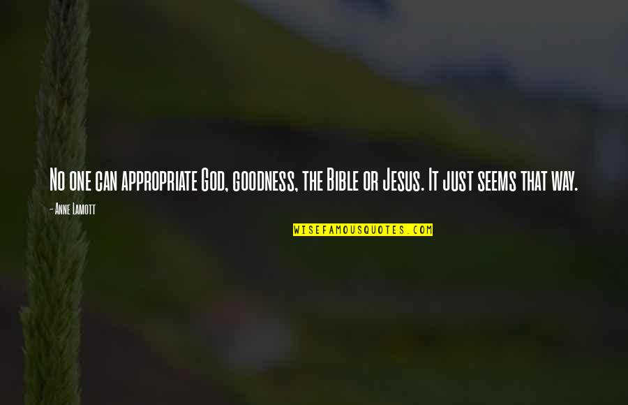 Nothing Being Handed To You Quotes By Anne Lamott: No one can appropriate God, goodness, the Bible