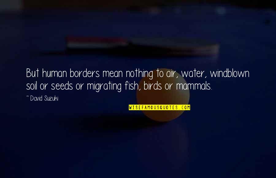 Nothing But Quotes By David Suzuki: But human borders mean nothing to air, water, Nothing But Quotes By David Suzuki: But human borders mean nothing to air, water,