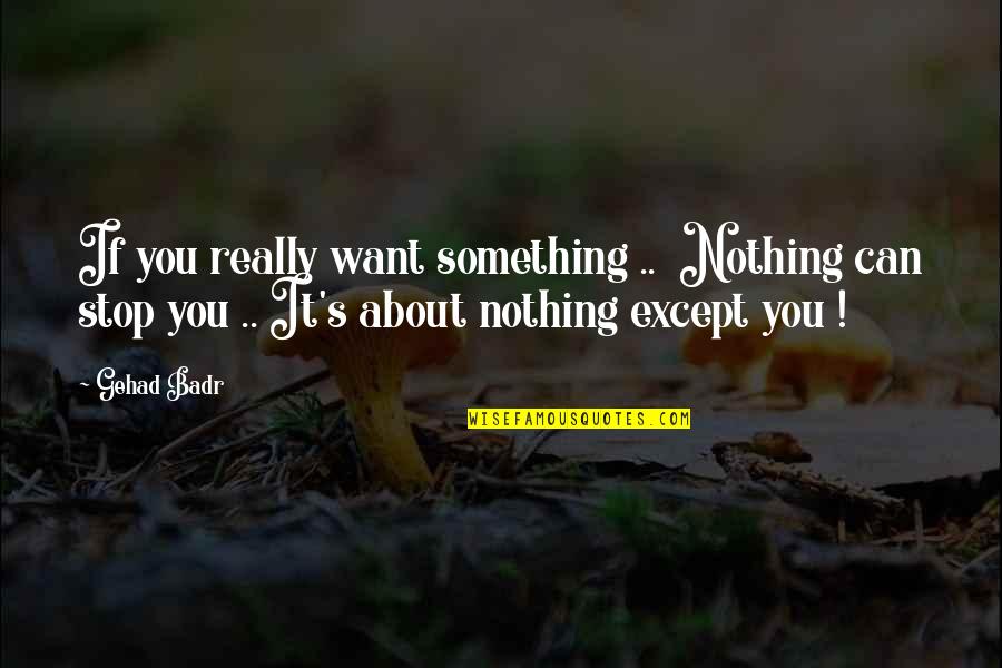 Nothing Can Stop Us Quotes By Gehad Badr: If you really want something .. Nothing can