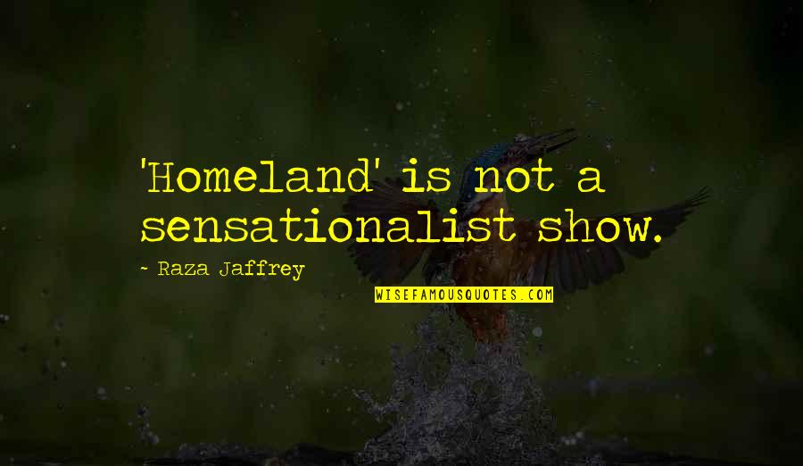 Nothing Else To Lose Quotes By Raza Jaffrey: 'Homeland' is not a sensationalist show.