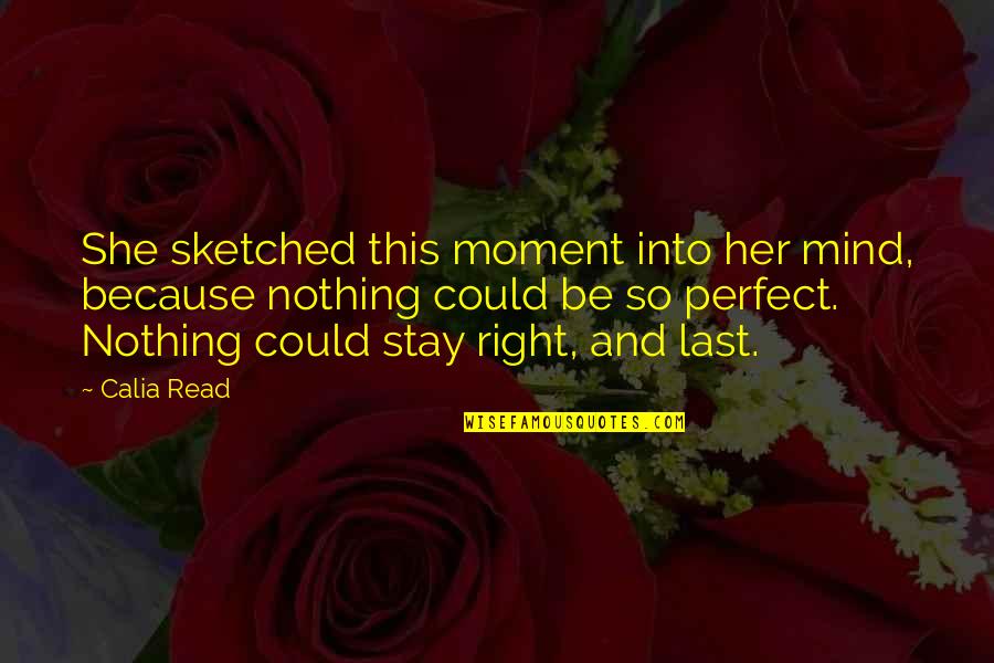 Nothing Ever Perfect Quotes By Calia Read: She sketched this moment into her mind, because