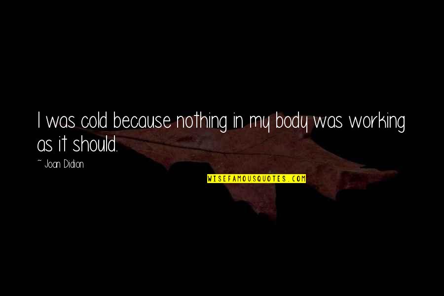 Nothing Ever Working Out Quotes By Joan Didion: I was cold because nothing in my body