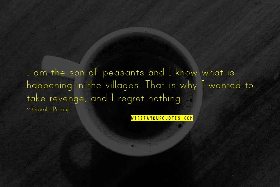 Nothing Happening Quotes By Gavrilo Princip: I am the son of peasants and I