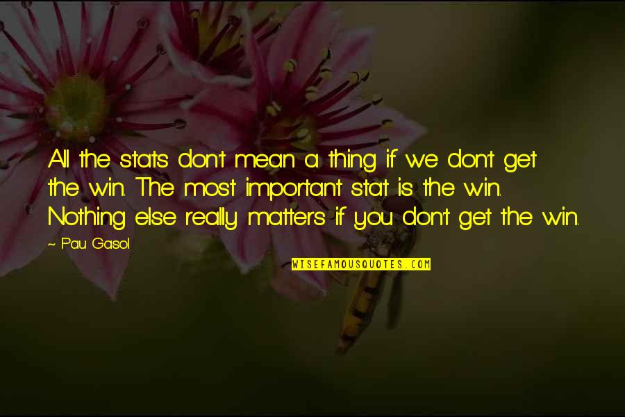 Nothing Important Quotes By Pau Gasol: All the stats don't mean a thing if