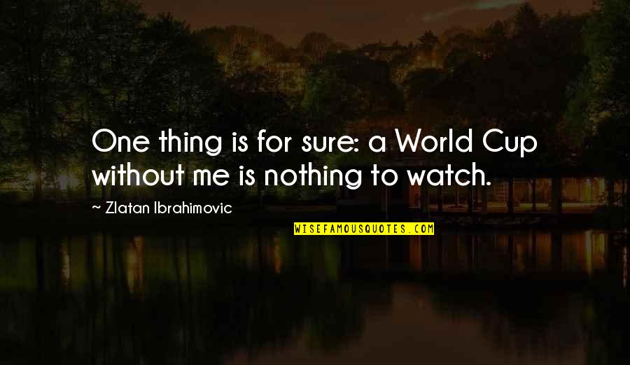 Nothing Is A Sure Thing Quotes By Zlatan Ibrahimovic: One thing is for sure: a World Cup