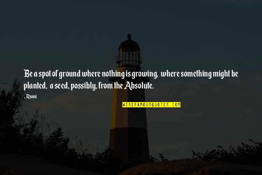 Nothing Is Absolute Quotes By Rumi: Be a spot of ground where nothing is