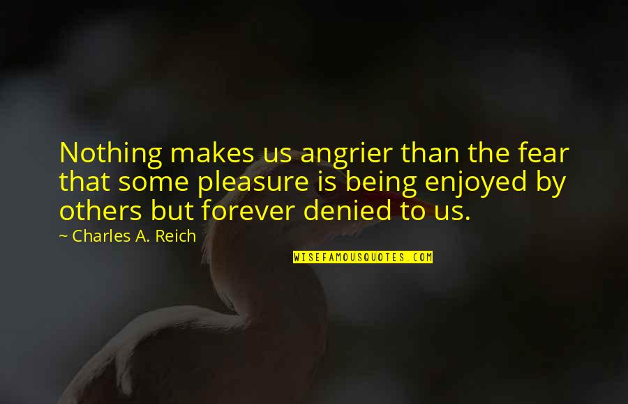 Nothing Is Forever But Quotes By Charles A. Reich: Nothing makes us angrier than the fear that