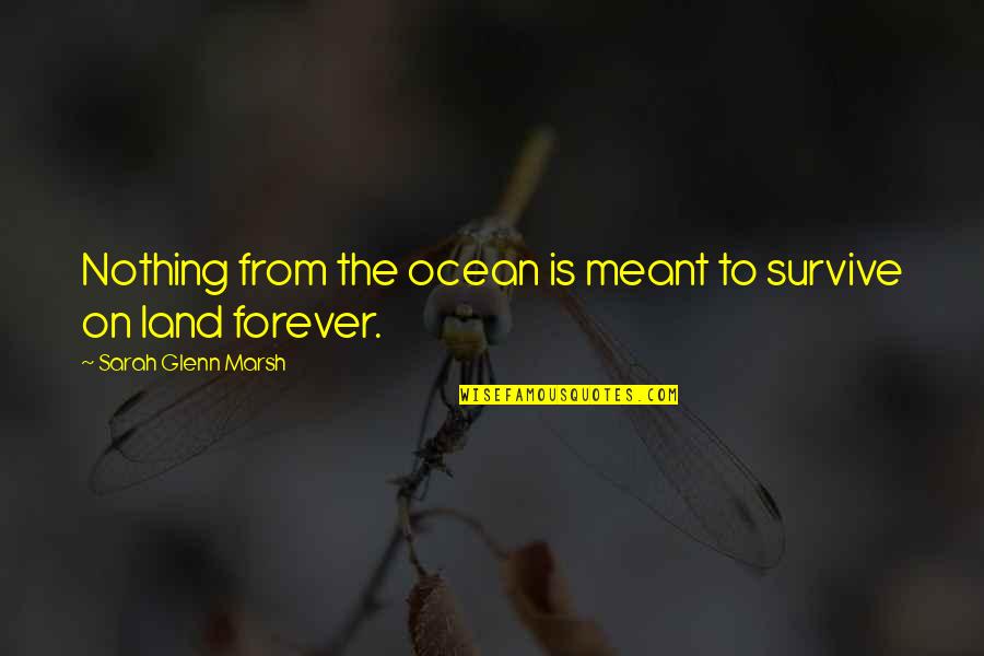 Nothing Is Forever But Quotes By Sarah Glenn Marsh: Nothing from the ocean is meant to survive