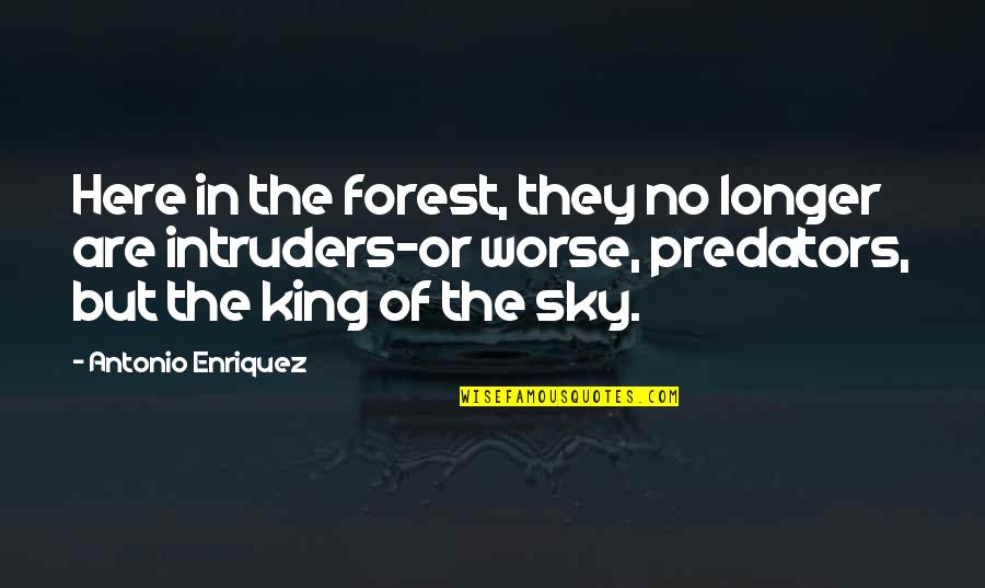 Nothing Is Free In This World Quotes By Antonio Enriquez: Here in the forest, they no longer are