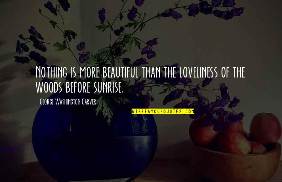 Nothing Is More Beautiful Quotes By George Washington Carver: Nothing is more beautiful than the loveliness of
