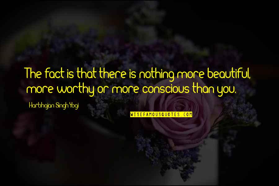 Nothing Is More Beautiful Quotes By Harbhajan Singh Yogi: The fact is that there is nothing more