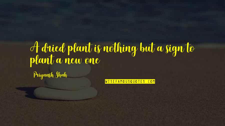 Nothing Is New Quotes By Priyansh Shah: A dried plant is nothing but a sign