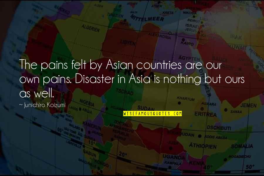 Nothing Is Ours Quotes By Junichiro Koizumi: The pains felt by Asian countries are our Nothing Is Ours Quotes By Junichiro Koizumi: The pains felt by Asian countries are our