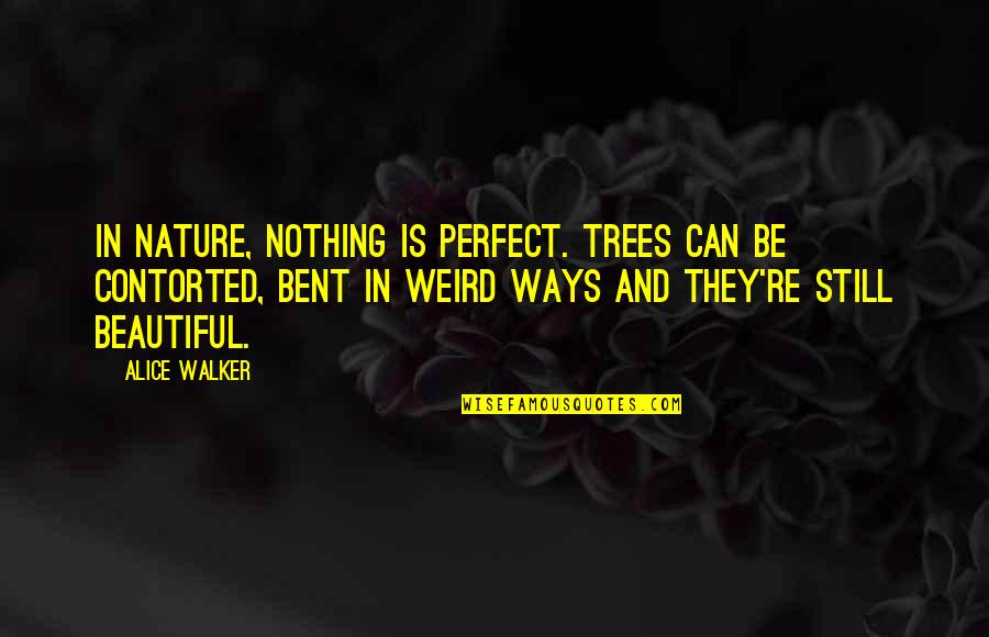 Nothing Is Perfect Quotes By Alice Walker: In nature, nothing is perfect. Trees can be Nothing Is Perfect Quotes By Alice Walker: In nature, nothing is perfect. Trees can be