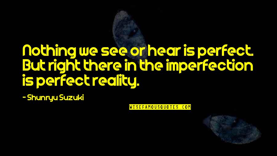 Nothing Is Perfect Quotes By Shunryu Suzuki: Nothing we see or hear is perfect. But Nothing Is Perfect Quotes By Shunryu Suzuki: Nothing we see or hear is perfect. But